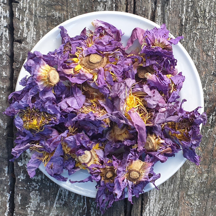 Blue Lotus Tea